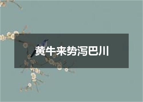 黄牛来势泻巴川