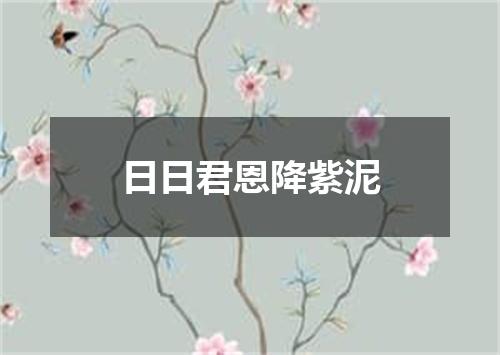日日君恩降紫泥