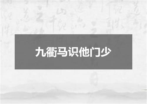 九衢马识他门少