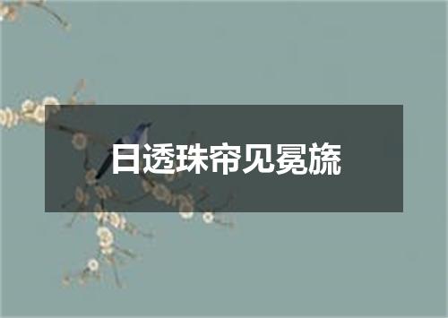 日透珠帘见冕旒