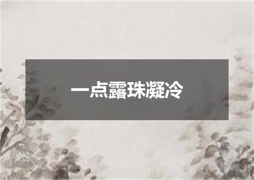 一点露珠凝冷
