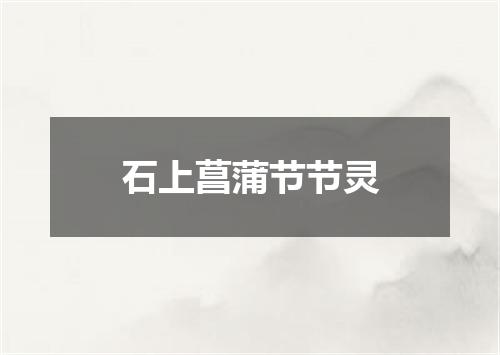 石上菖蒲节节灵