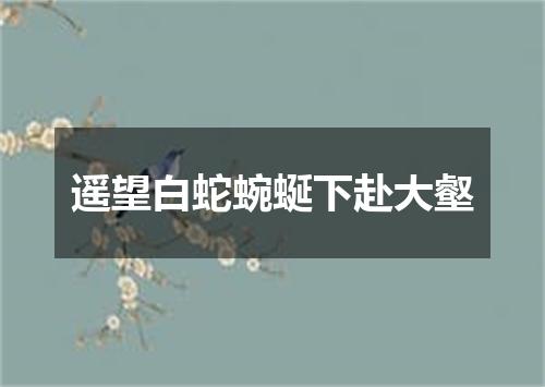 遥望白蛇蜿蜒下赴大壑