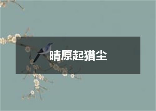 晴原起猎尘