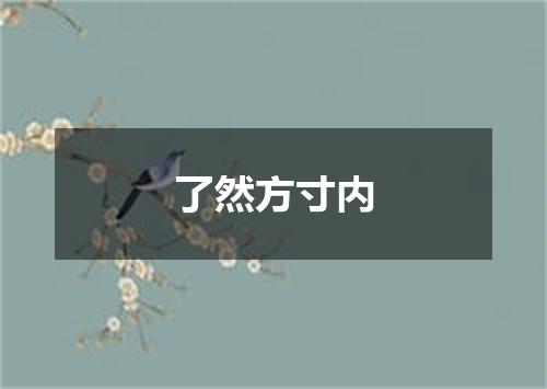 了然方寸内