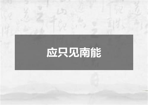应只见南能