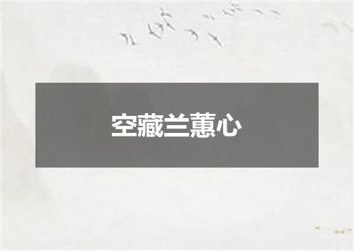 空藏兰蕙心