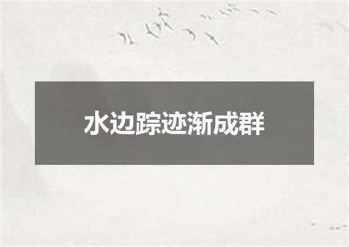 水边踪迹渐成群