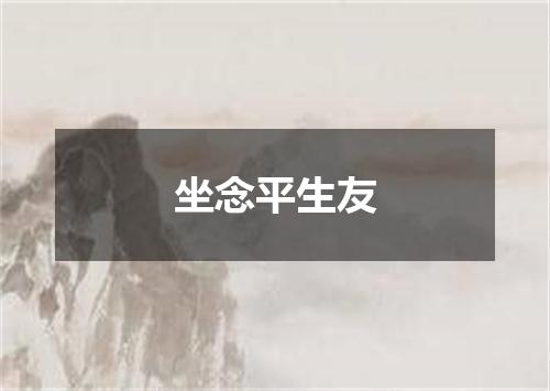 坐念平生友