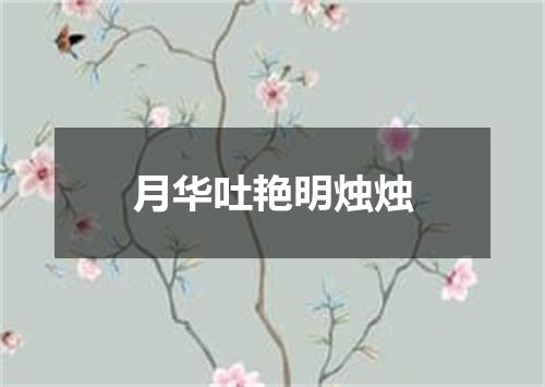 月华吐艳明烛烛