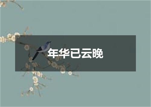 年华已云晚