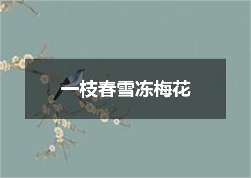 一枝春雪冻梅花