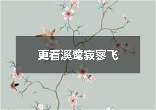 更看溪鹭寂寥飞
