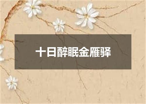 十日醉眠金雁驿