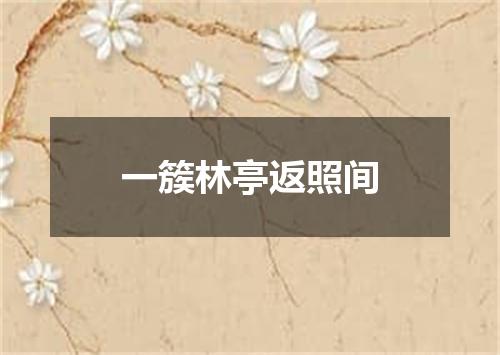 一簇林亭返照间