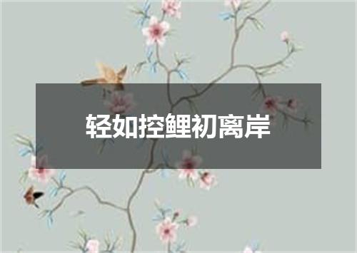 轻如控鲤初离岸