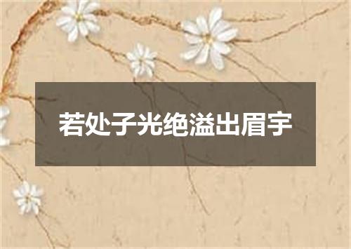 若处子光绝溢出眉宇