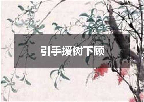 引手援树下顾
