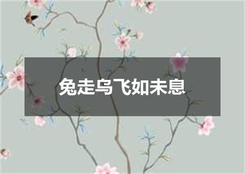 兔走乌飞如未息