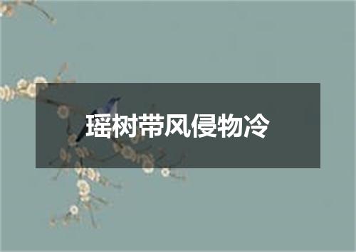 瑶树带风侵物冷