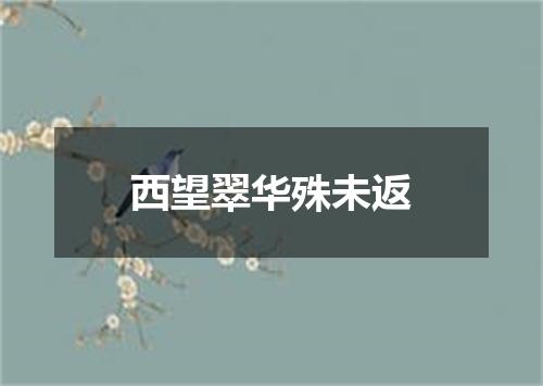 西望翠华殊未返