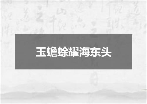 玉蟾蜍耀海东头