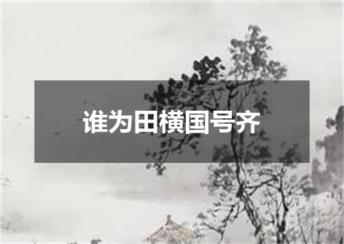 谁为田横国号齐