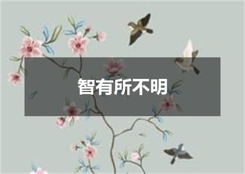 智有所不明
