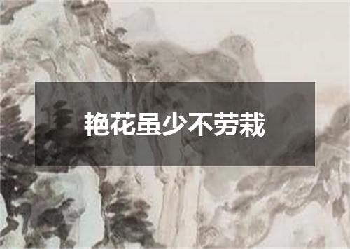艳花虽少不劳栽