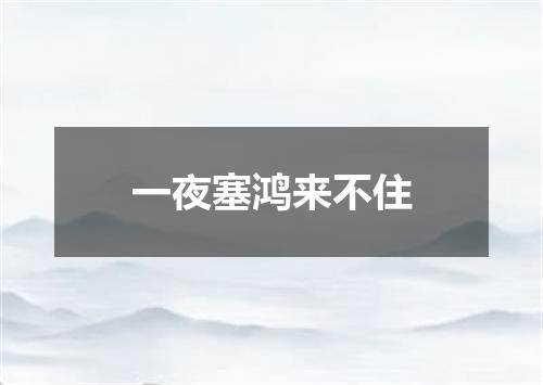 一夜塞鸿来不住