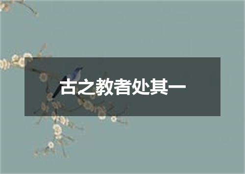 古之教者处其一