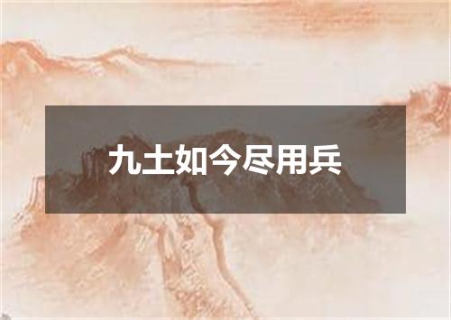 九土如今尽用兵