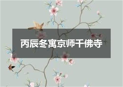 丙辰冬寓京师千佛寺