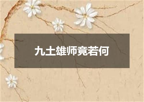 九土雄师竟若何