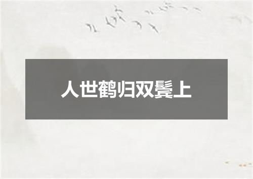 人世鹤归双鬓上
