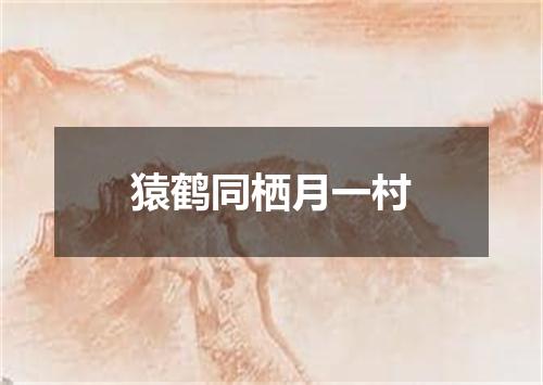 猿鹤同栖月一村