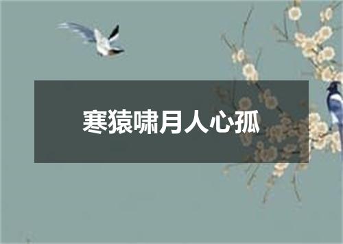 寒猿啸月人心孤