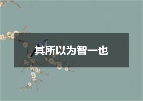 其所以为智一也