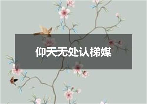 仰天无处认梯媒