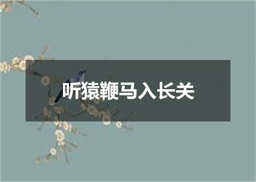 听猿鞭马入长关