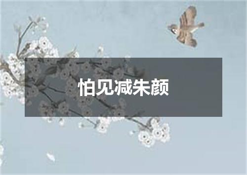 怕见减朱颜