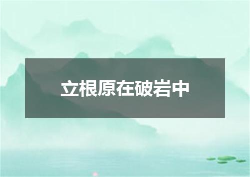 立根原在破岩中