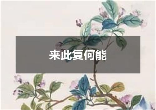 来此复何能