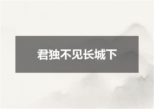 君独不见长城下