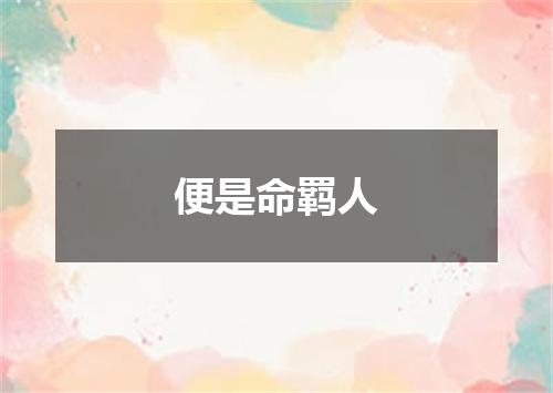 便是命羁人