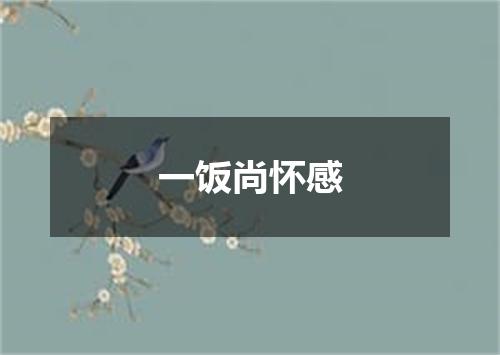 一饭尚怀感