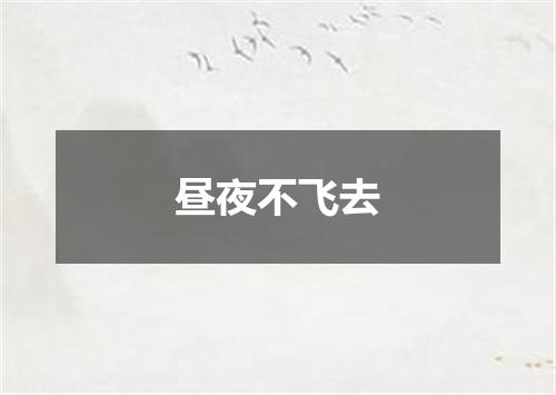 昼夜不飞去