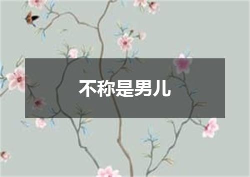 不称是男儿