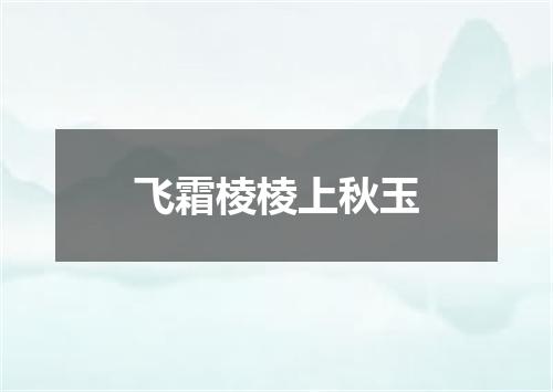 飞霜棱棱上秋玉