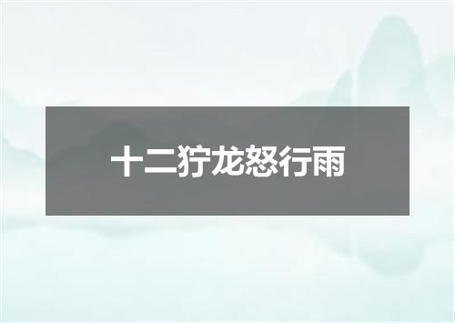 十二狞龙怒行雨